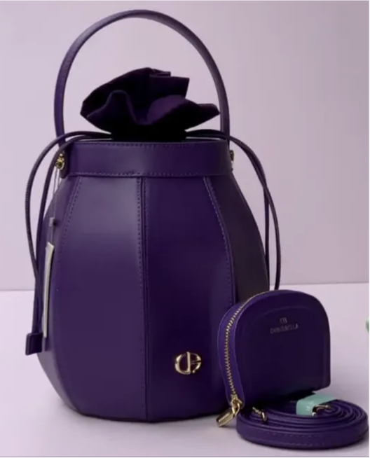 Classy Bucket Ladies Bag